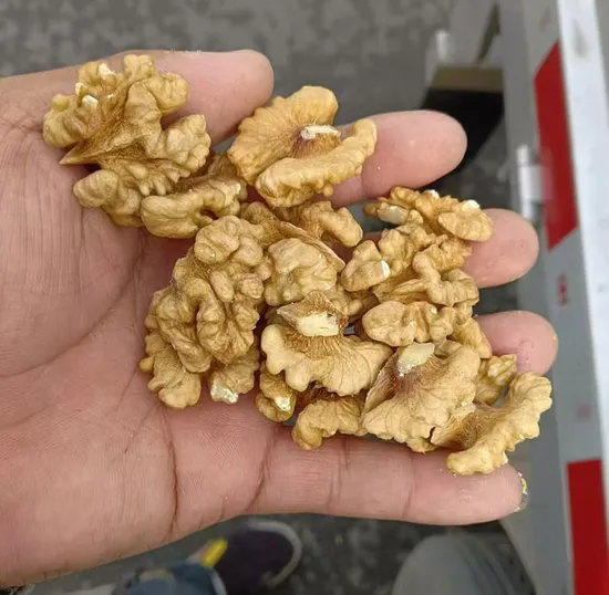 Exportation de noix de noix chinoises, prix de gros