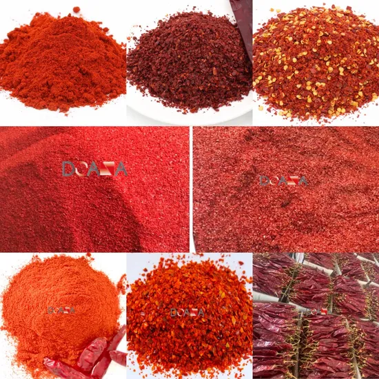 Assaisonnement alimentaire sec en poudre de paprika rouge, additif d'arôme d'herbes naturelles