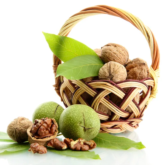 185 Cerneaux de Noix Décortiqués Extra Légers