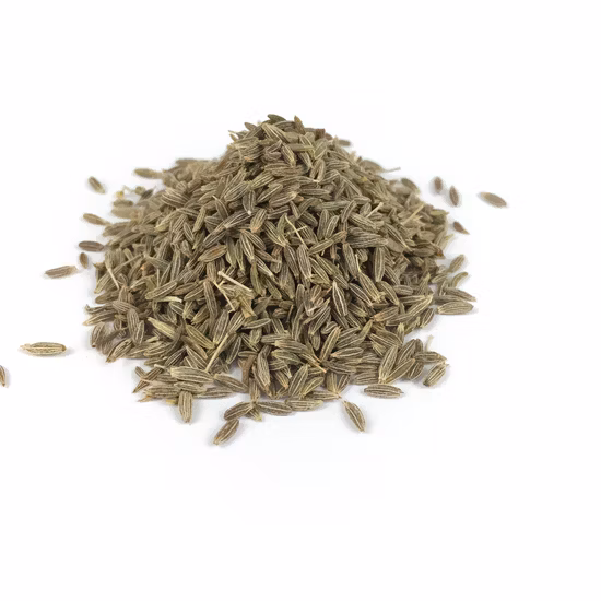 Assaisonnement alimentaire, épices naturelles, poudre de poivre blanc pour la cuisine et le barbecue