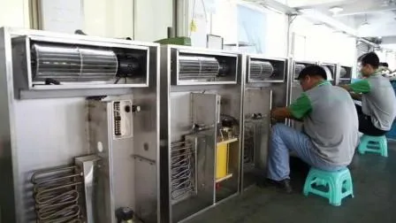 L'usine vend directement le noyau de noix du Xinjiang